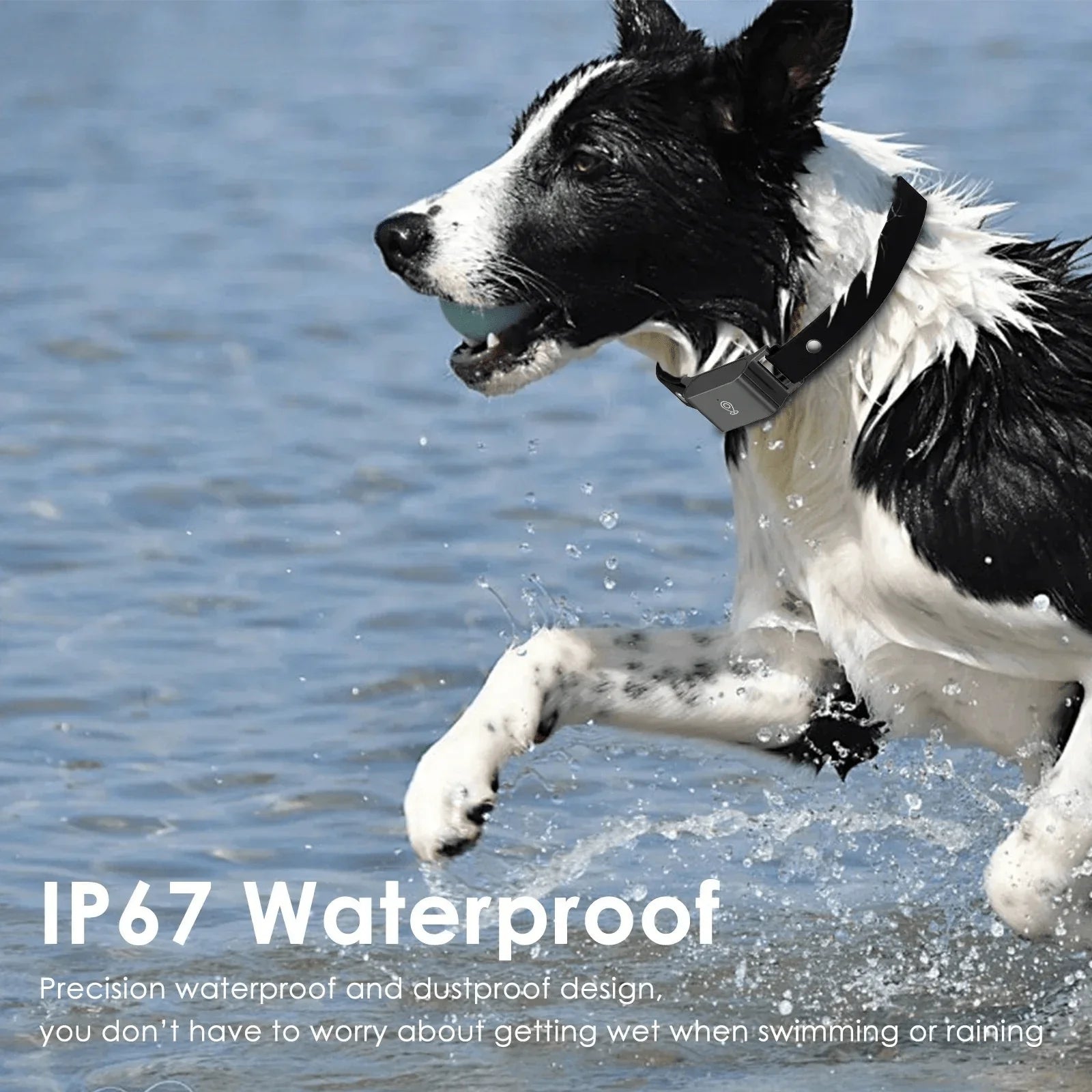 Whislo 4G GPS Pet Tracker – Real-Time Tracking, IP67 Waterproof, 7-Day Battery