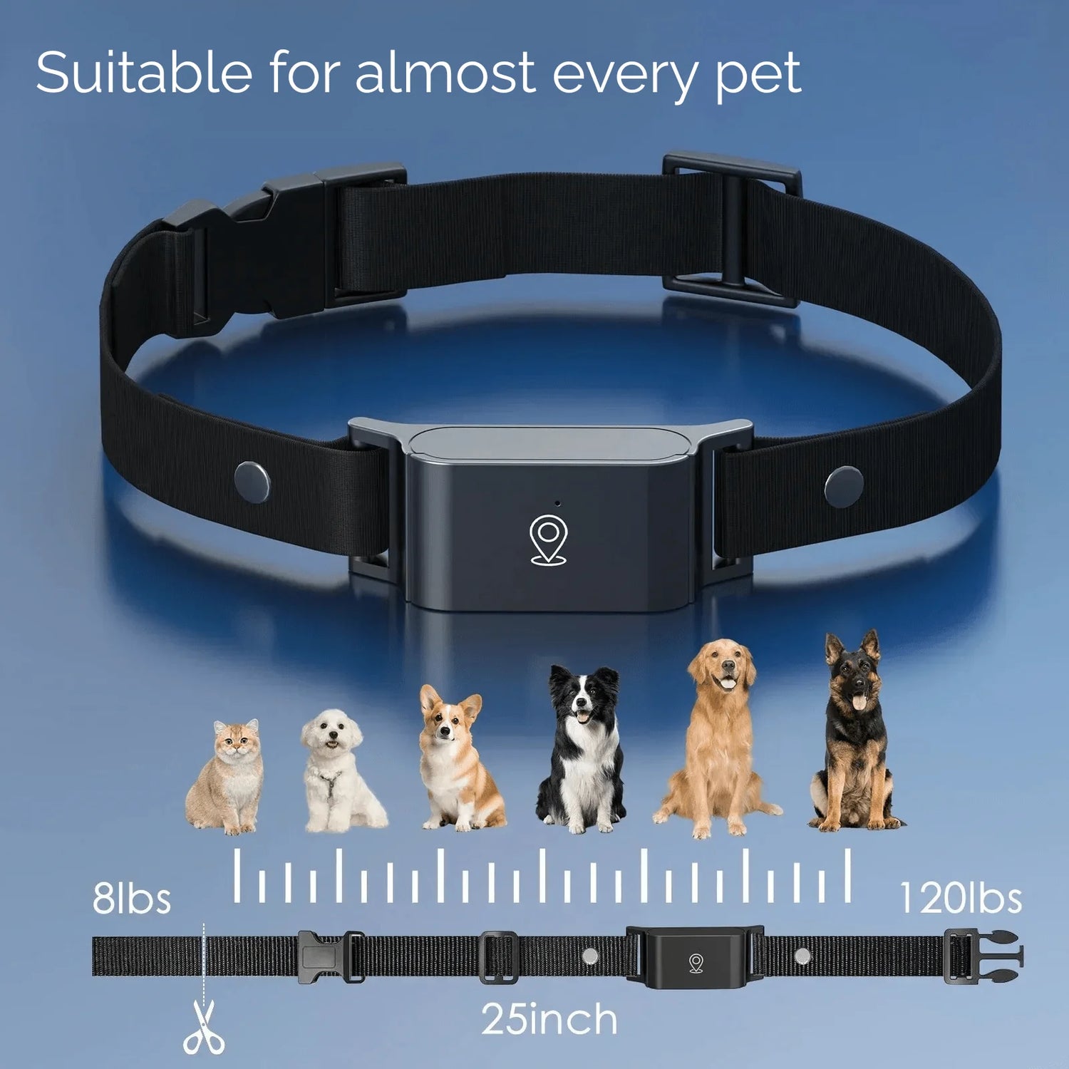 Whislo 4G GPS Pet Tracker – Real-Time Tracking, IP67 Waterproof, 7-Day Battery