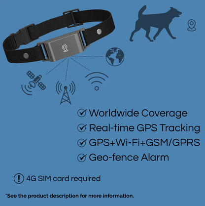 Whislo 4G GPS Pet Tracker – Real-Time Tracking, IP67 Waterproof, 7-Day Battery