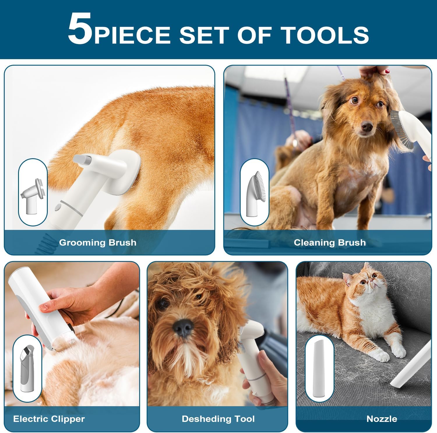 Whislo 7-in-1 Pet Grooming Vacuum Kit – 300W, 10kPa Suction, 2.5L Dust Cup