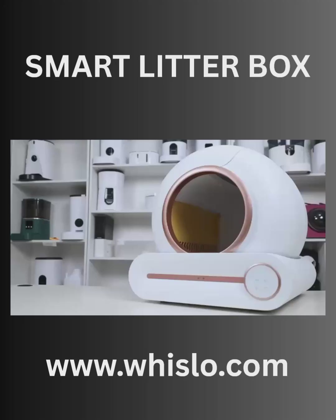 Whislo Smart Self-Cleaning Cat Litter Box – 65L, App Control, 99% Odor-Free
